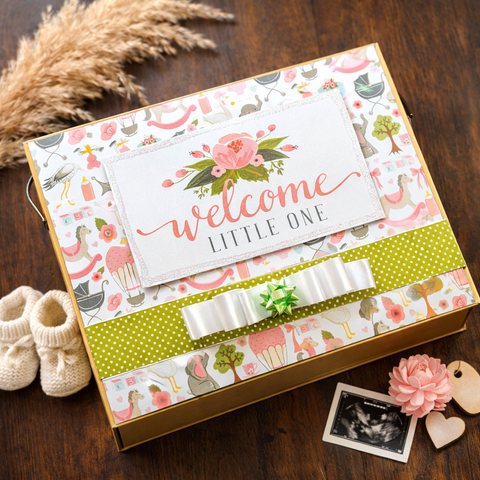 Bump To Baby Pregnancy Record Book | Welcome Little One Box