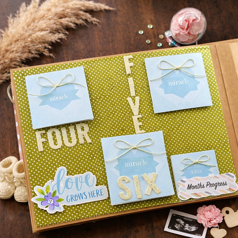 Bump To Baby Pregnancy Record Book | Welcome Little One Box