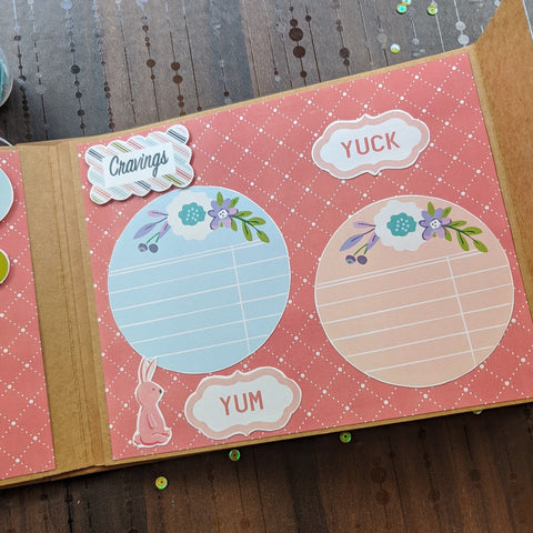 Bump To Baby Pregnancy Record Book | Welcome Little One Box